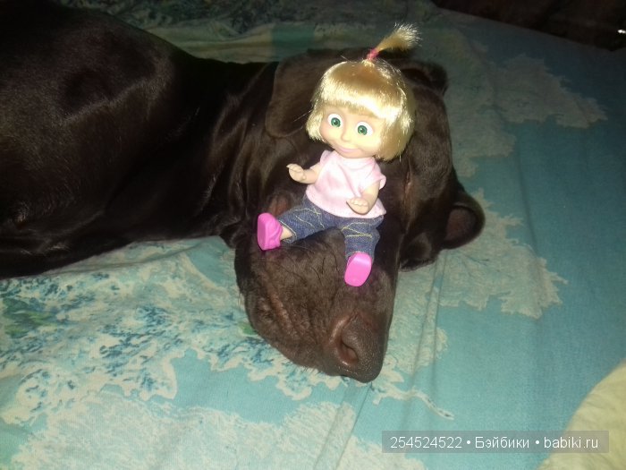 Наша Маша — Куклы Маша и Медведь (Simba): Маша в кармашке