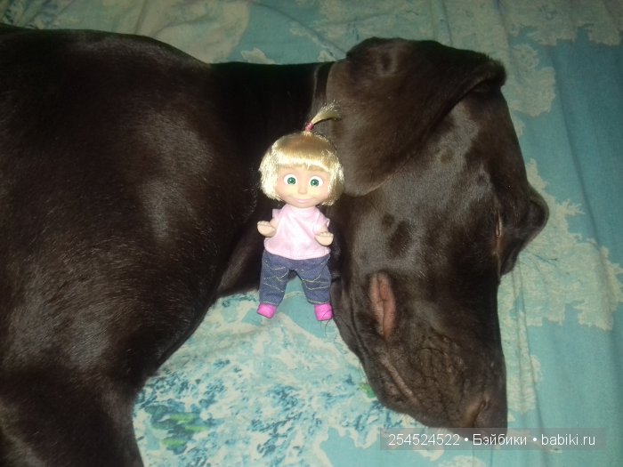 Наша Маша — Куклы Маша и Медведь (Simba): Маша в кармашке