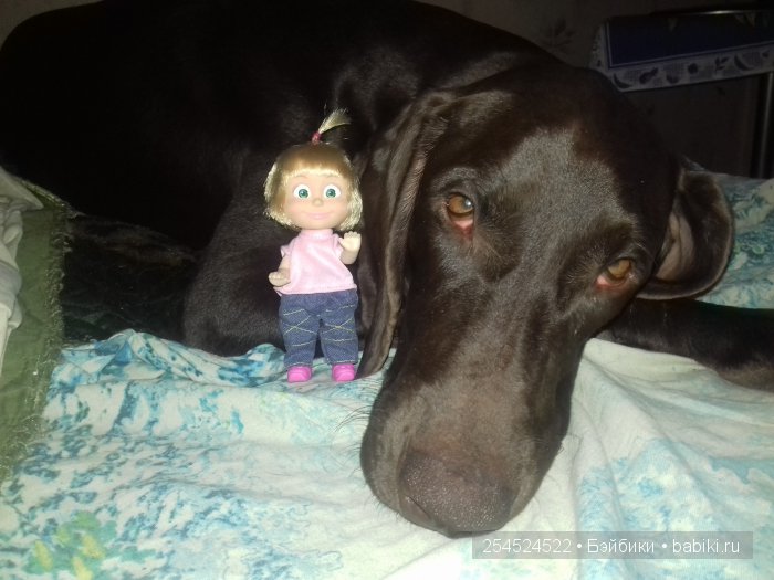 Наша Маша — Куклы Маша и Медведь (Simba): Маша в кармашке