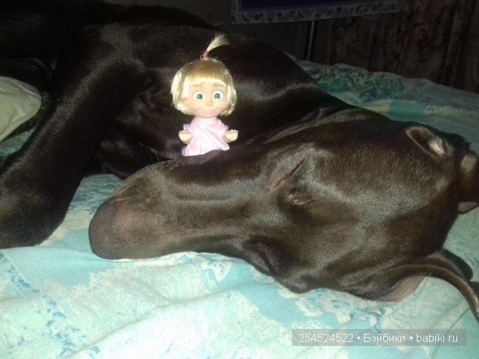 Наша Маша — Куклы Маша и Медведь (Simba): Маша в кармашке