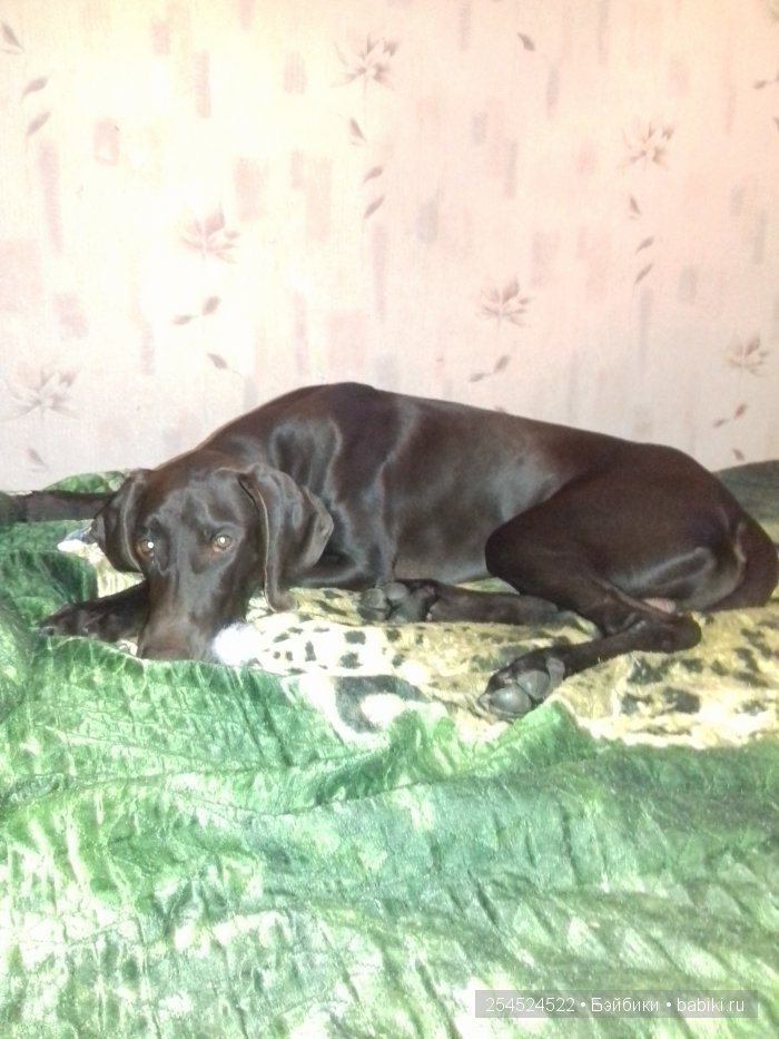 Мои куклы. Микромир. Часть 3