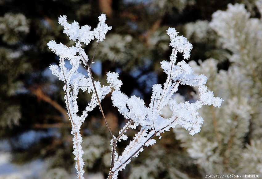 Какие же они все-таки клёвые