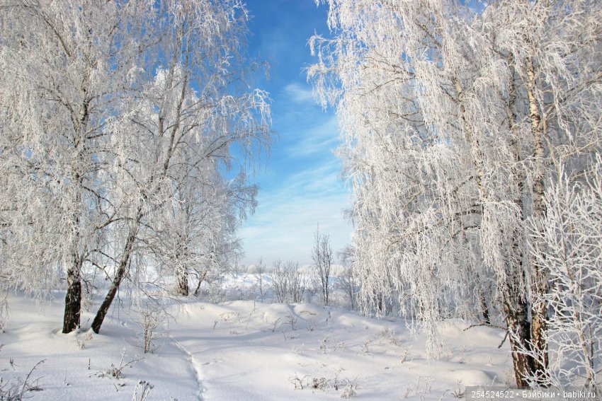 Какие же они все-таки клёвые