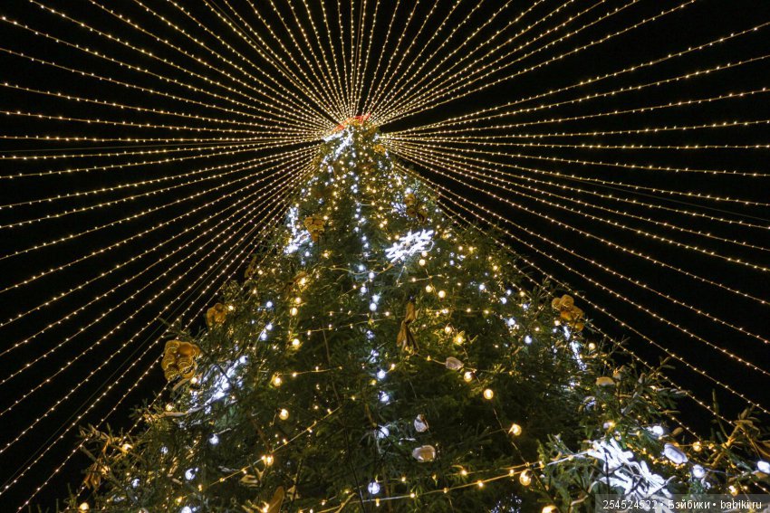 Какие же они все-таки клёвые