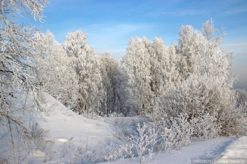 Какие же они все-таки клёвые