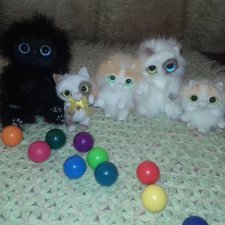 Без кота и жизнь не та