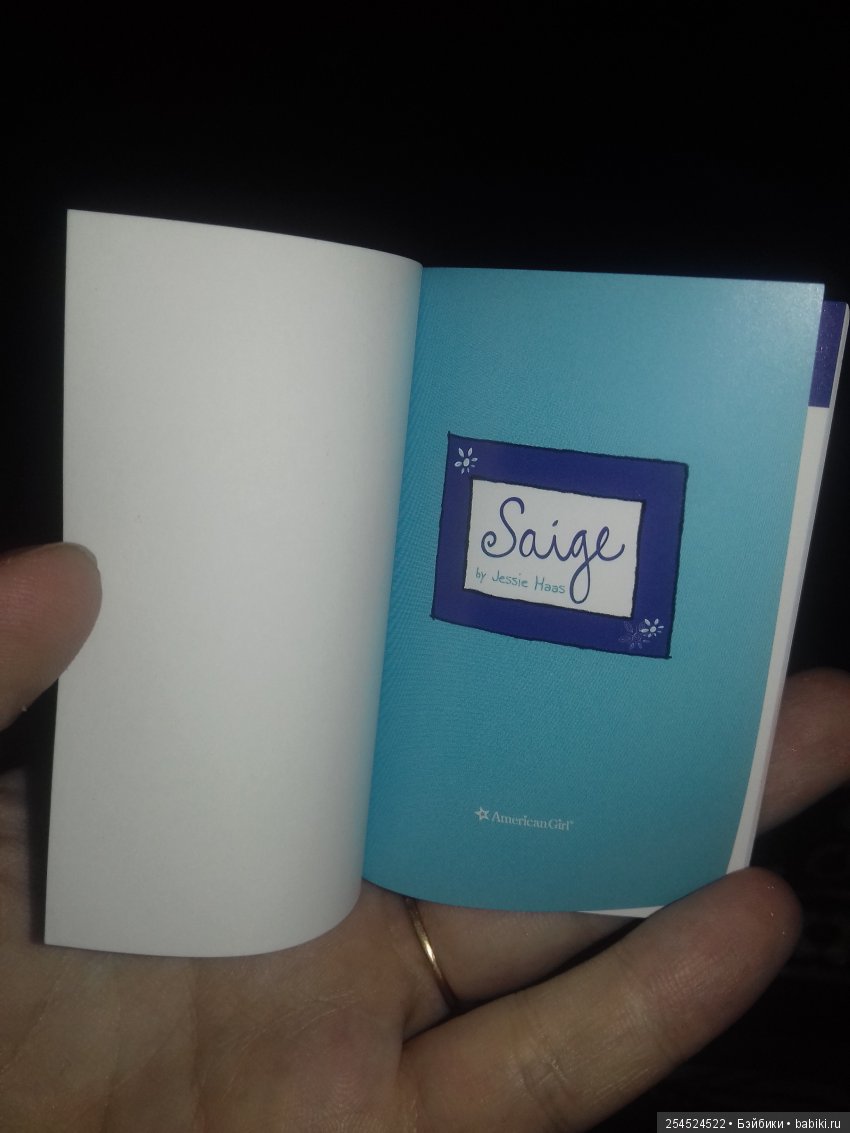 Обзор кукол мини American Girl. Часть 12. Изабель Палмер и Сейдж Копиленд (фото 7)