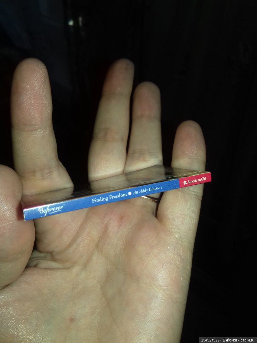 Обзор кукол мини American Girl. Часть 15. Эдди Уокер (фото 6)