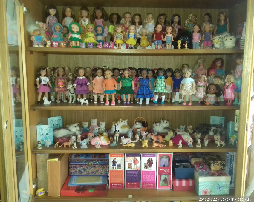 Мои кукольные полочки — Домашние коллекции кукол: фото собраний