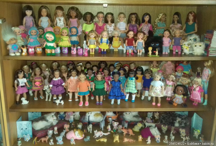Мои кукольные полочки — Домашние коллекции кукол: фото собраний (фото 2)