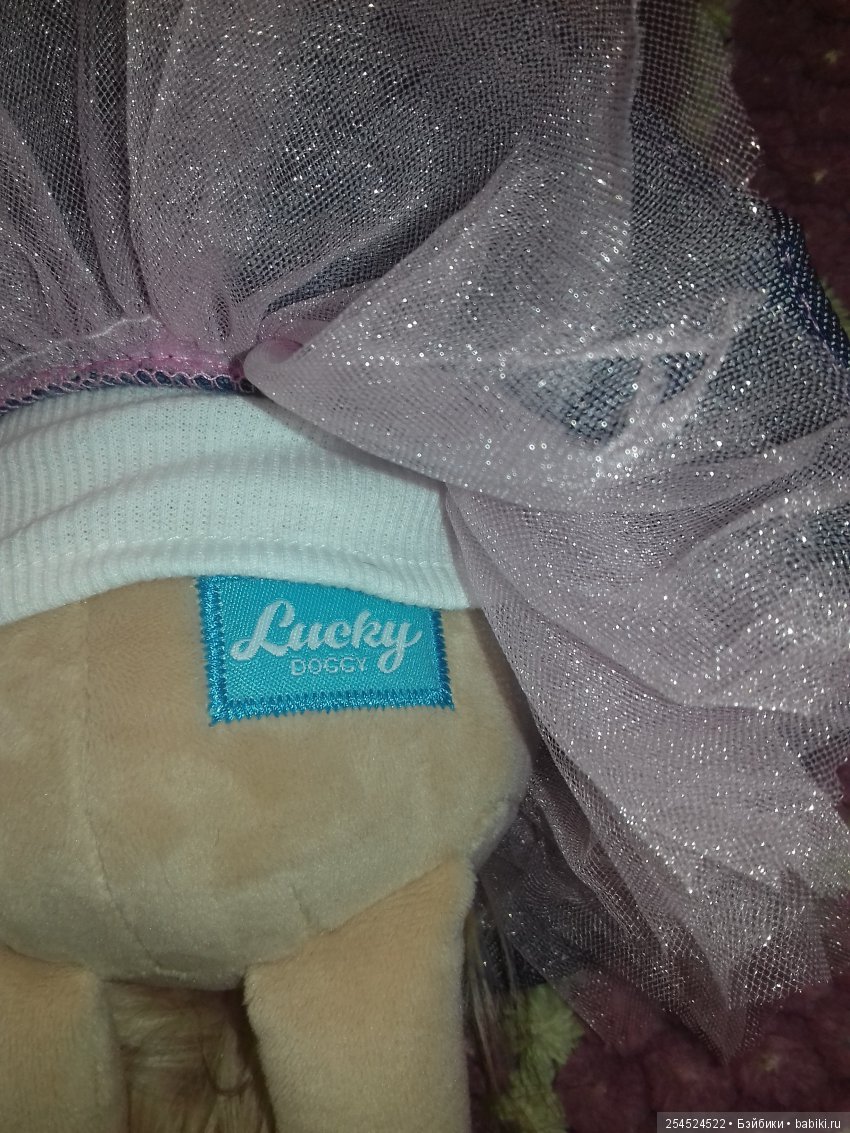 Необычная собачка Йо-Йо и другие собачки Lucky Doggy