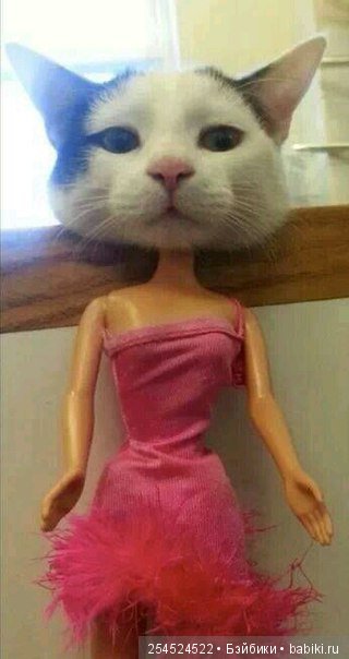 А давайте посмеемся — Болталка и разговоры обо всем: жизнь