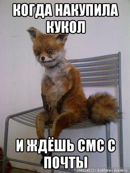 А давайте посмеемся — Болталка и разговоры обо всем: жизнь