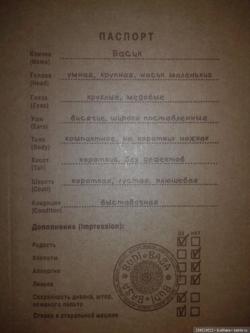 Самый лучший плюшевый кот и другие интересные игрушки