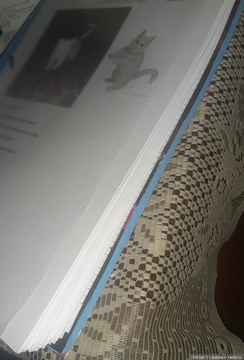 Моя коллекция кукол 2019 — Домашние коллекции кукол: фото собраний