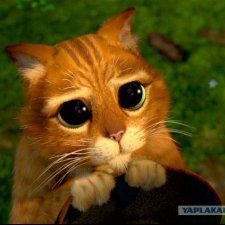 Прошу помощи в покупке кукольного аксессуара у жителей Ижевска