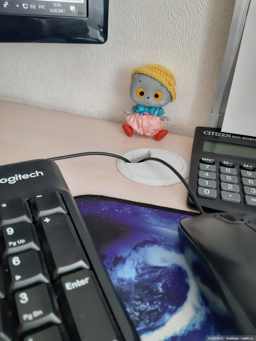 И у нас Басики — Кот Басик