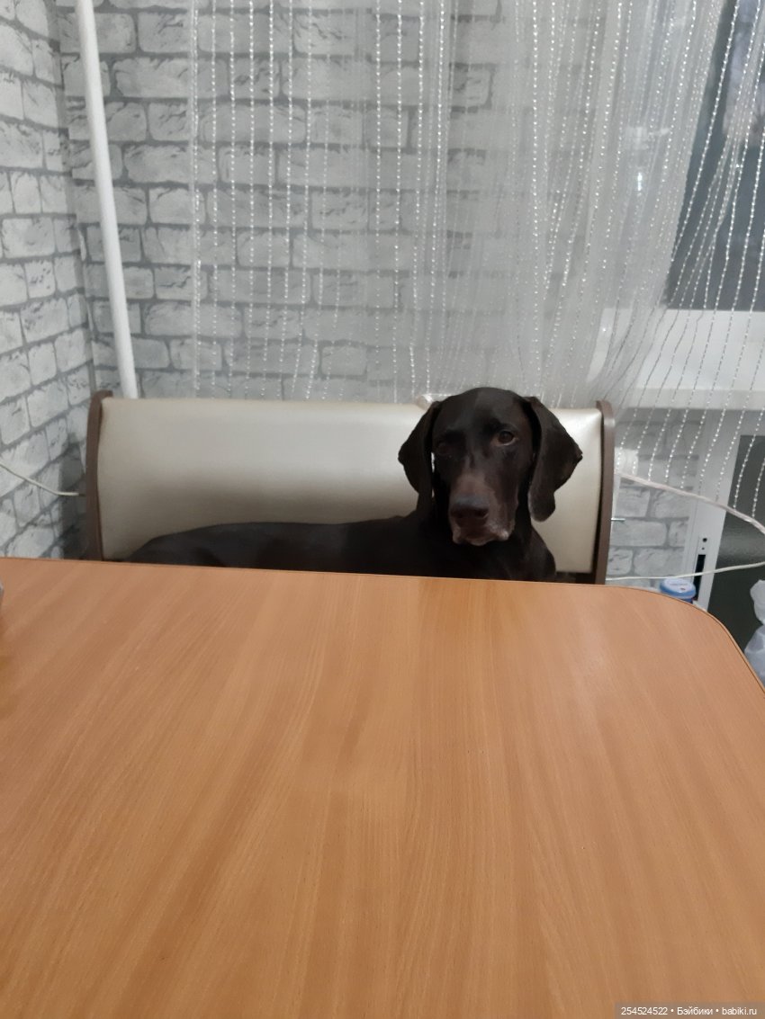 Переезд! Продолжение. Основное