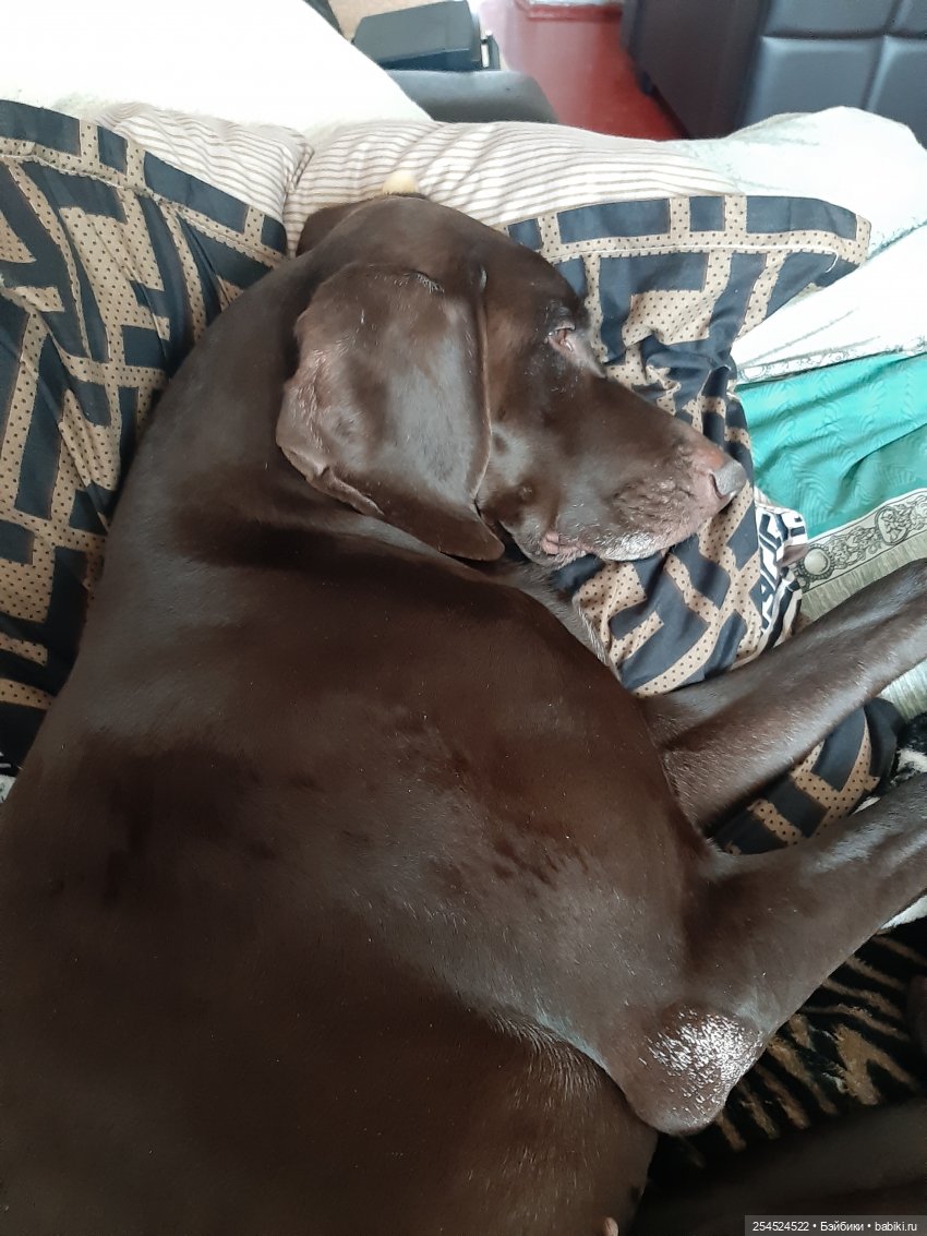 Переезд! Продолжение. Основное