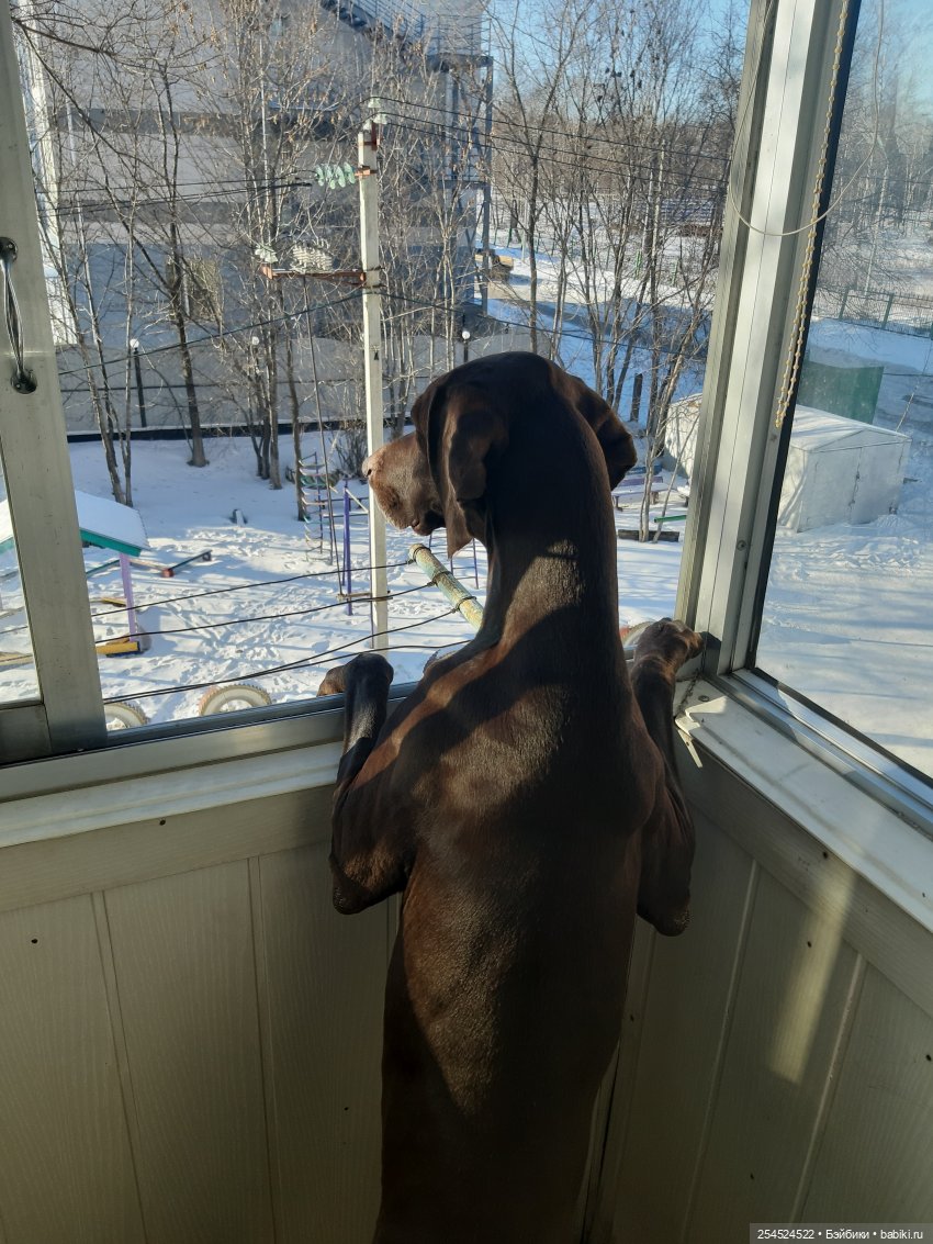 Переезд! Продолжение. Основное