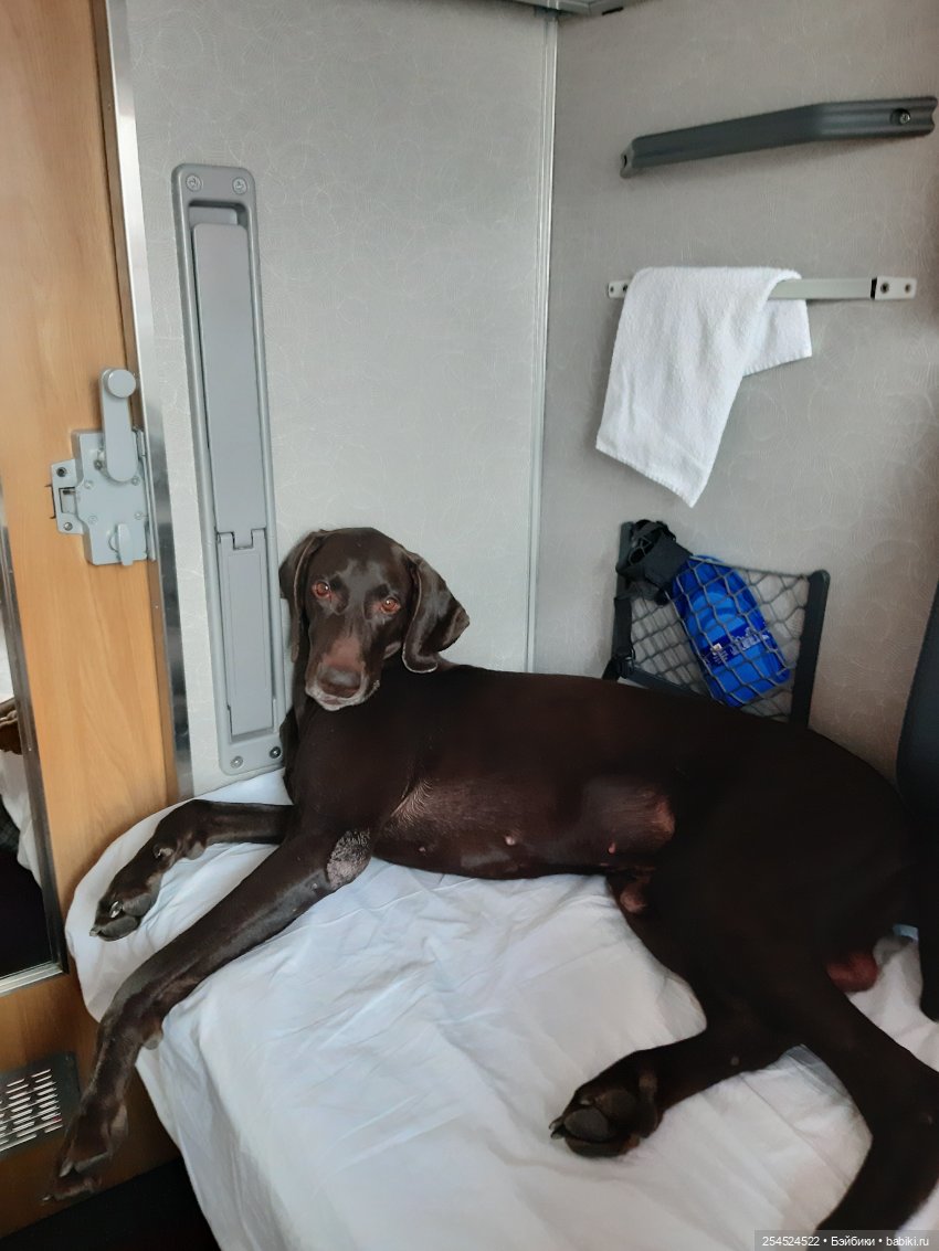 Переезд! Продолжение. Основное