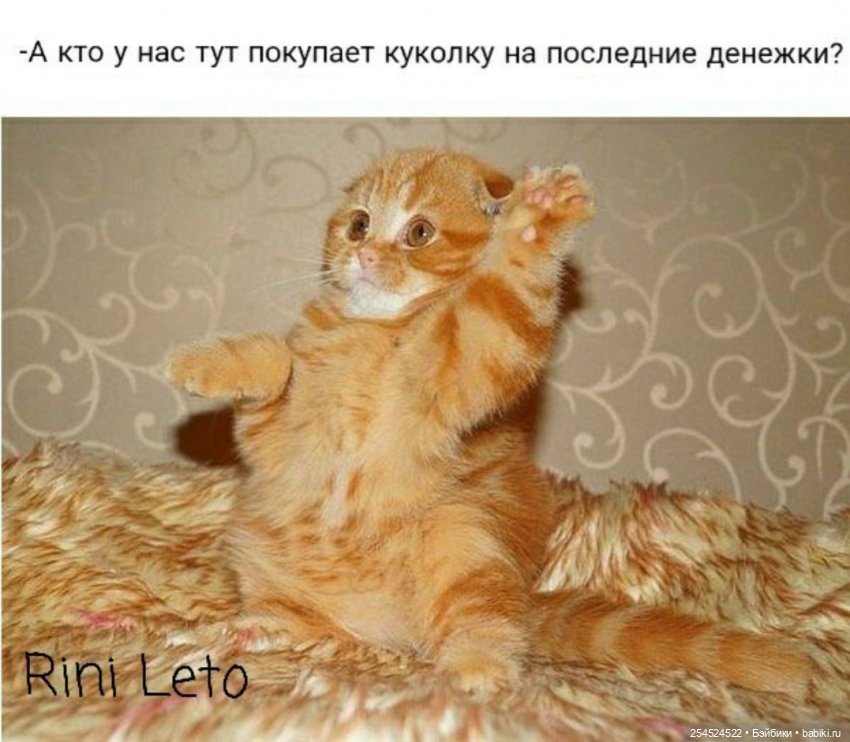 8 лет на сайте — Интересное и необычное: фотоподборки