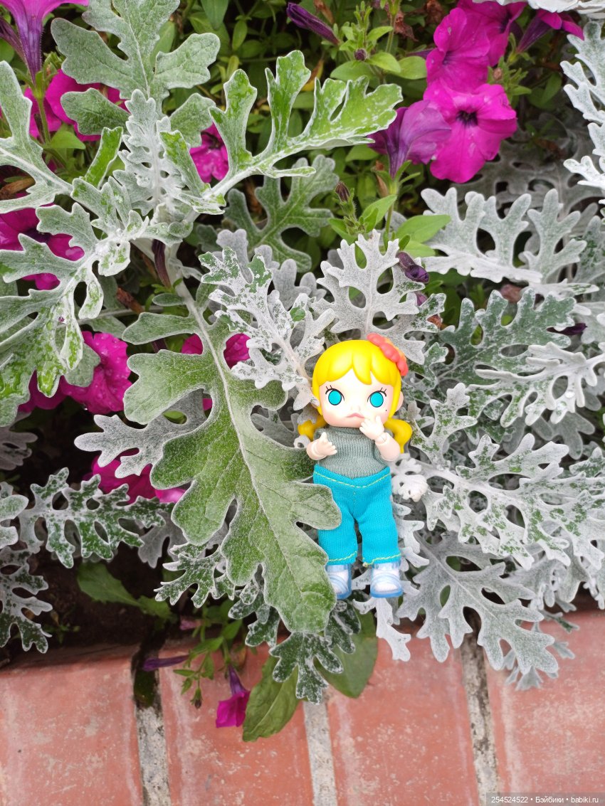 Новая Молли. Бюджетный вариант