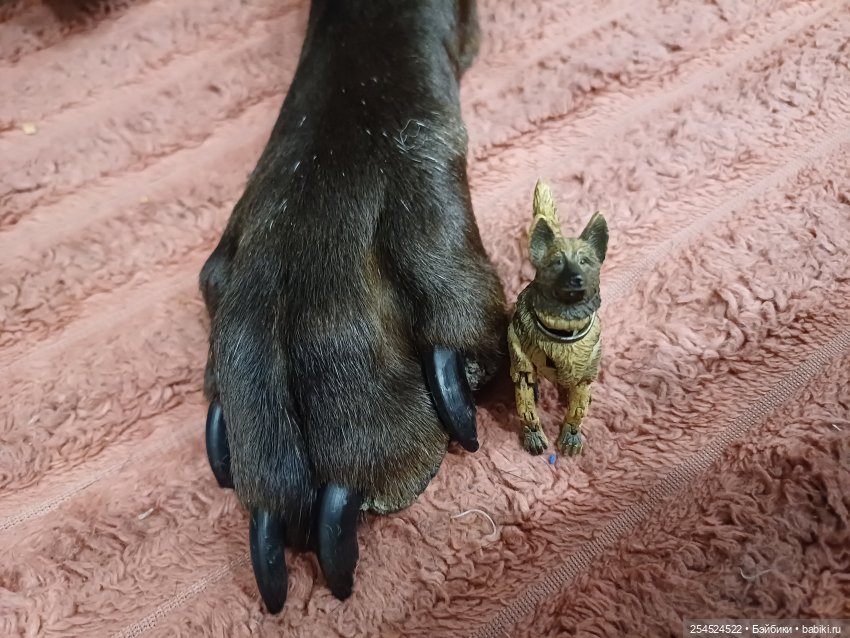 Крутые собаки от JoyToy — Разные шарнирные куклы (не БЖД): редкие