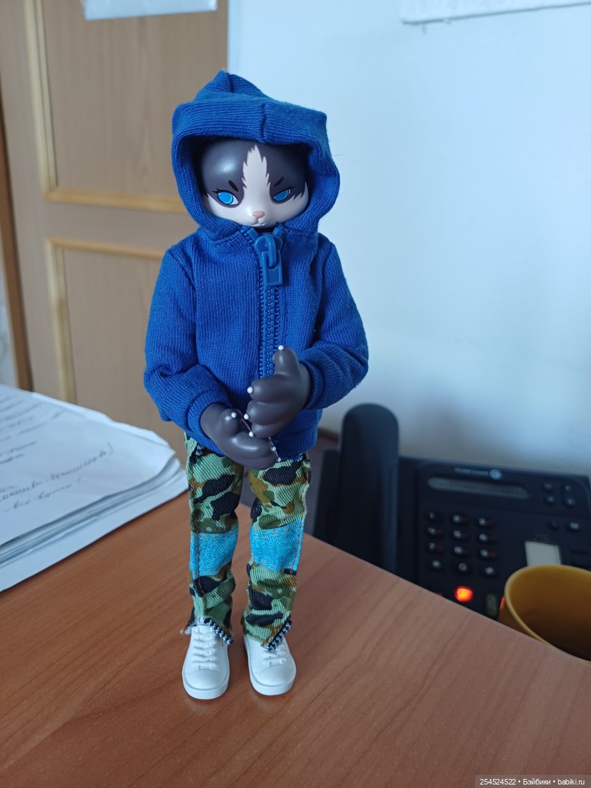 Котик в ожидании нового тела (фото 10)