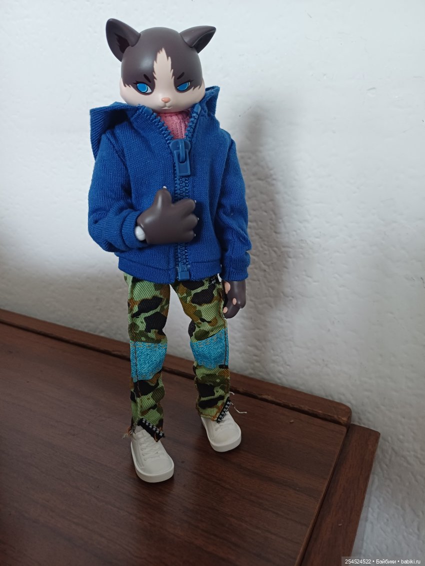 Котик в ожидании нового тела (фото 5)