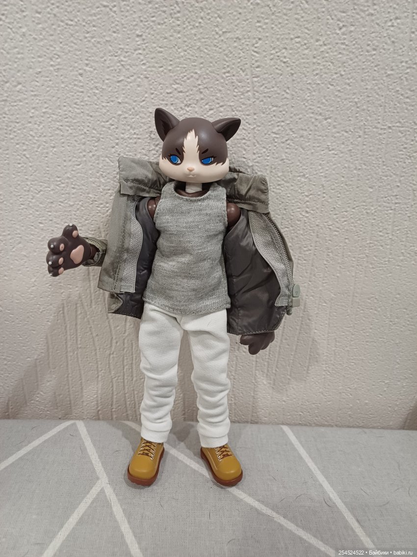 Котик в ожидании нового тела