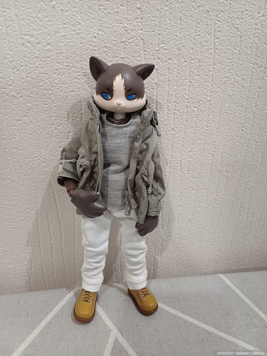 Котик в ожидании нового тела