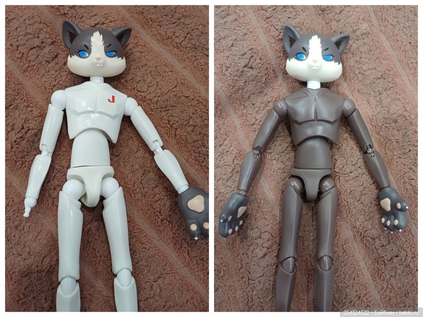 Котик в ожидании нового тела