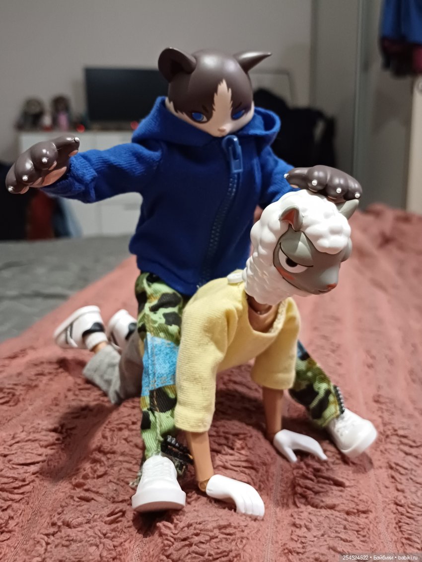 Котик в ожидании нового тела