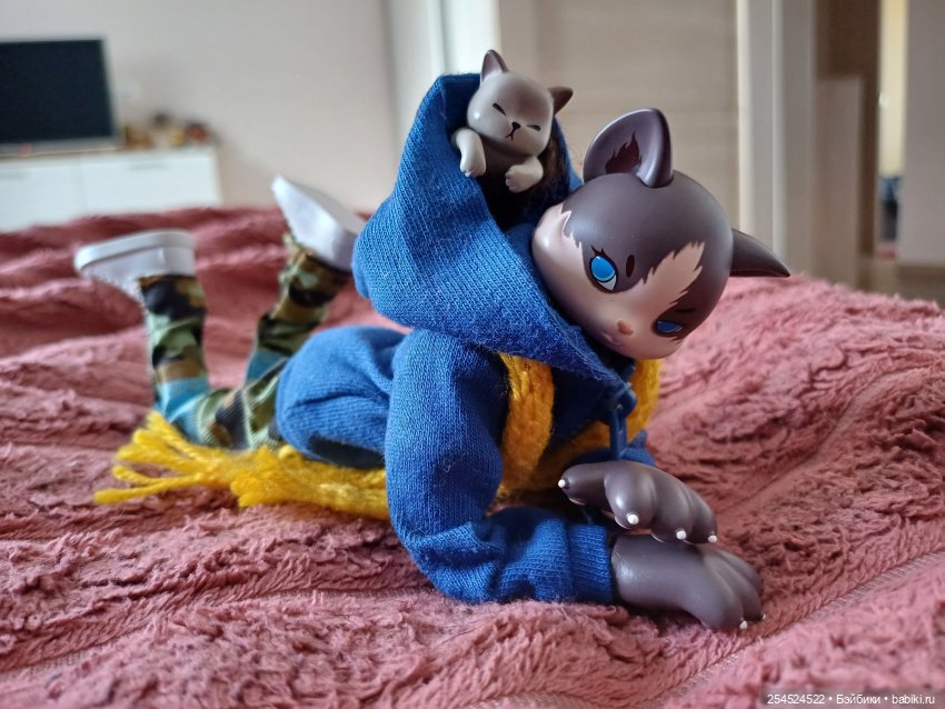 Котик в ожидании нового тела