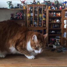 Миниатюра в квадрате