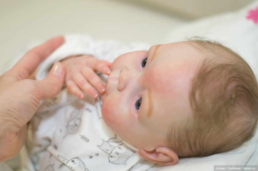 Екатерина, Conejo — Всем привет (фото 2)