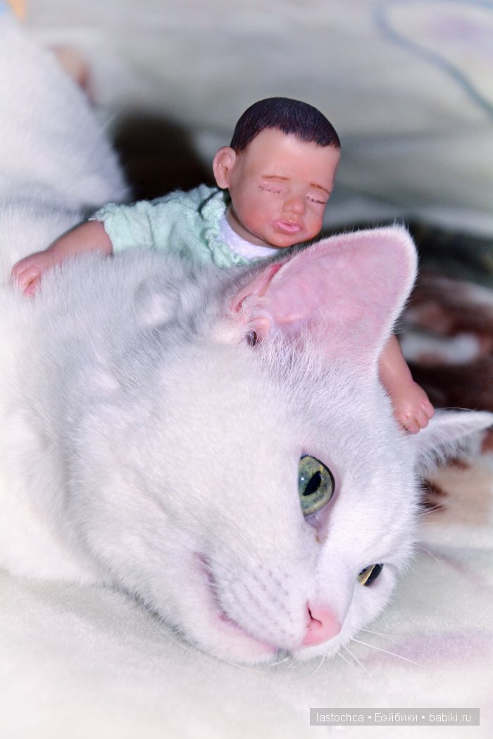 поиграю с кошечкой...