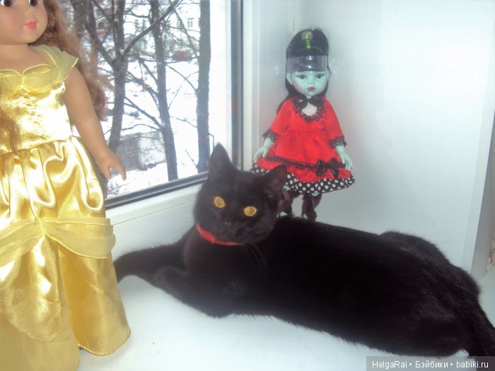 "Мои любимые куклы или небольшая утренняя фотосессия )))))" Часть первая