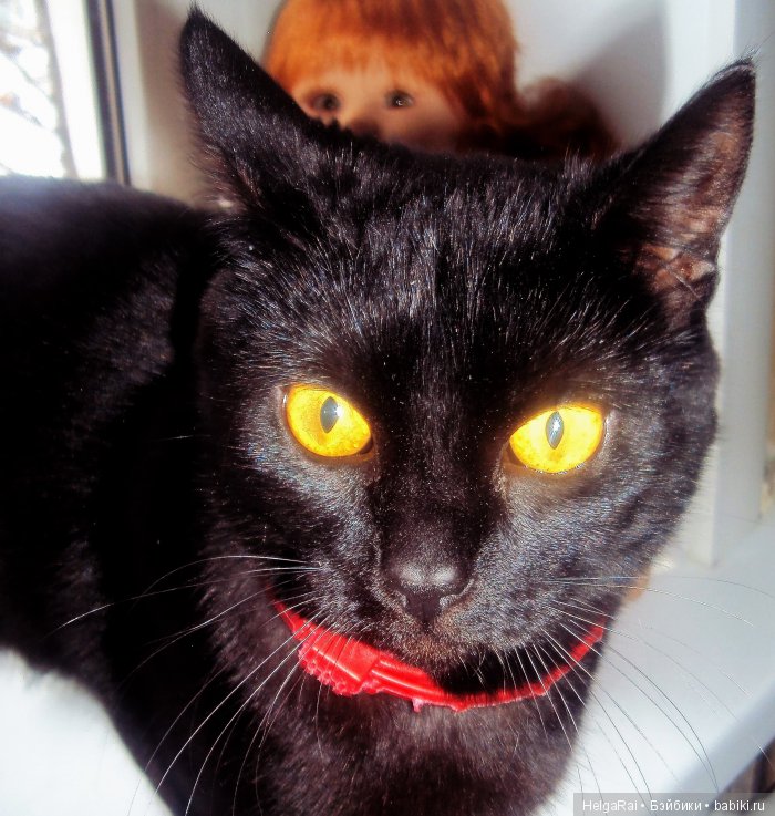 "Мои любимые куклы или небольшая утренняя фотосессия продолжается...." Часть вторая | Бэйбики "Мои любимые куклы или небольшая утренняя фотосессия продолжается...." Часть вторая