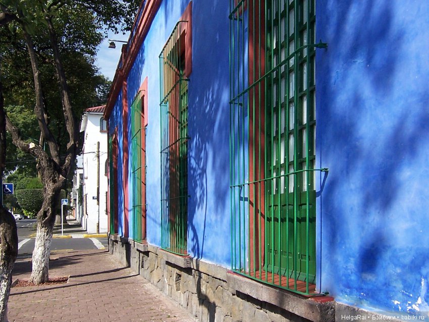 Фрида - жизнь ! Дерево надежды, стой прямо! Часть 3 (фото 4)