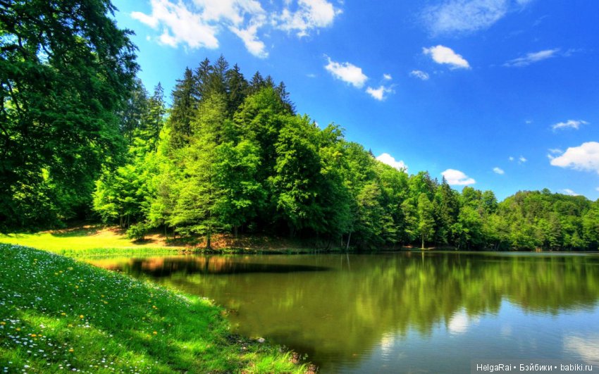 Моя Россия — Культура (фото 4)