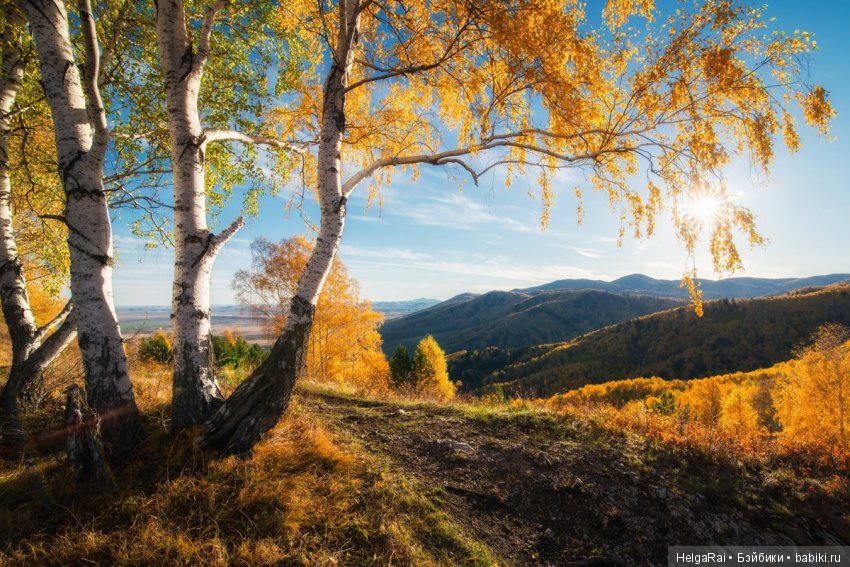 Моя Россия — Культура (фото 7)