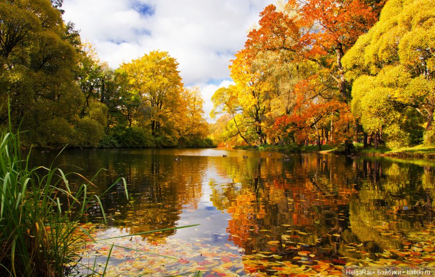 Моя Россия — Культура (фото 9)