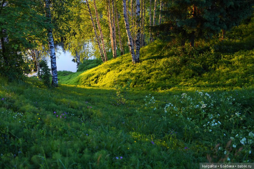 Моя Россия — Культура (фото 8)