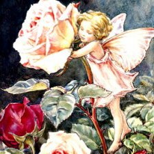 Приходит лето за весной