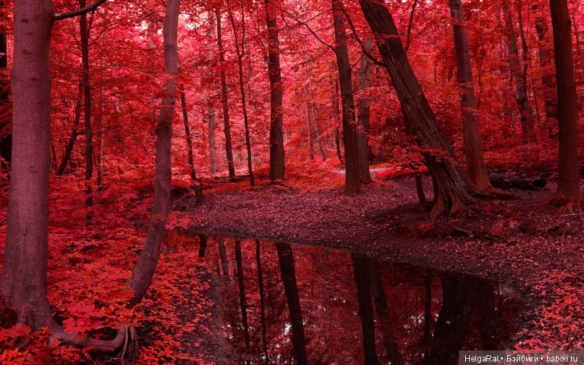 Осень цвета бордо — Куклы Adora (Адора): коллекционные виниловые (фото 6)