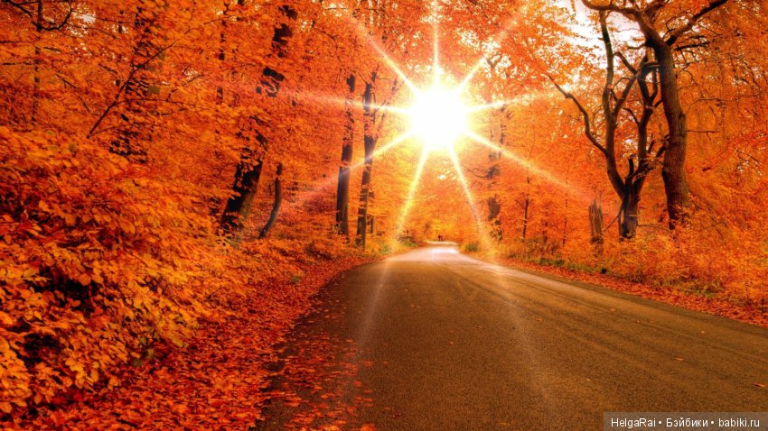 Осень цвета бордо — Куклы Adora (Адора): коллекционные виниловые (фото 10)