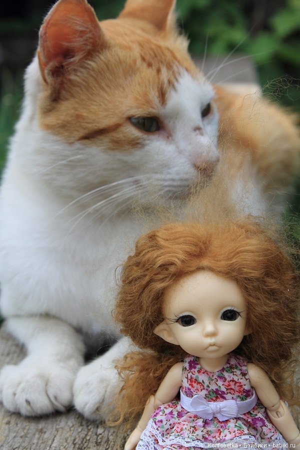 Рukifee Pio.И снова дача — Куклы Fairyland (ФэйриЛэнд): BJD (БЖД) (фото 9)