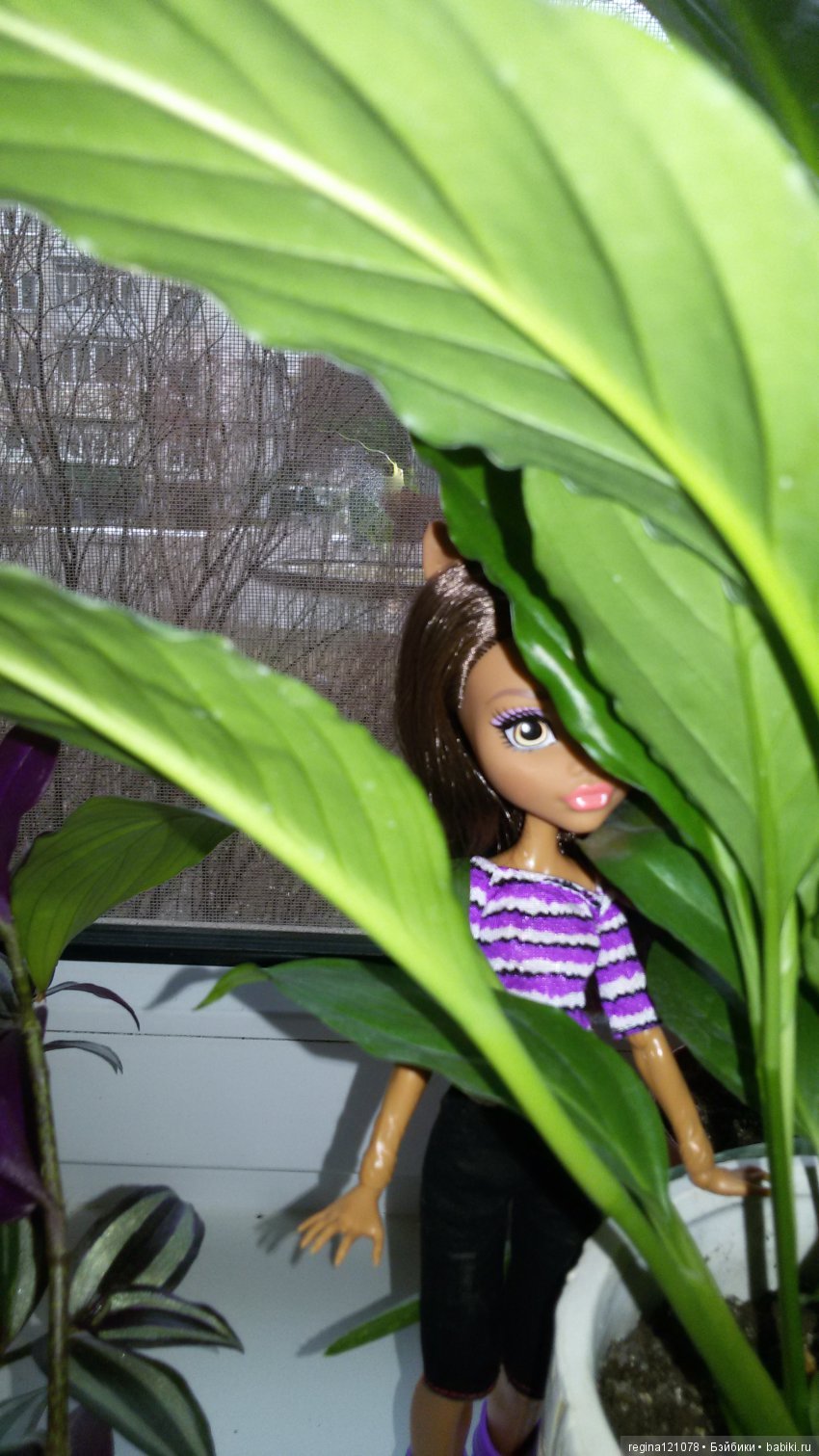 Моё новогоднее чудо — Куклы Monster High и Ever After High: G1 (фото 2)